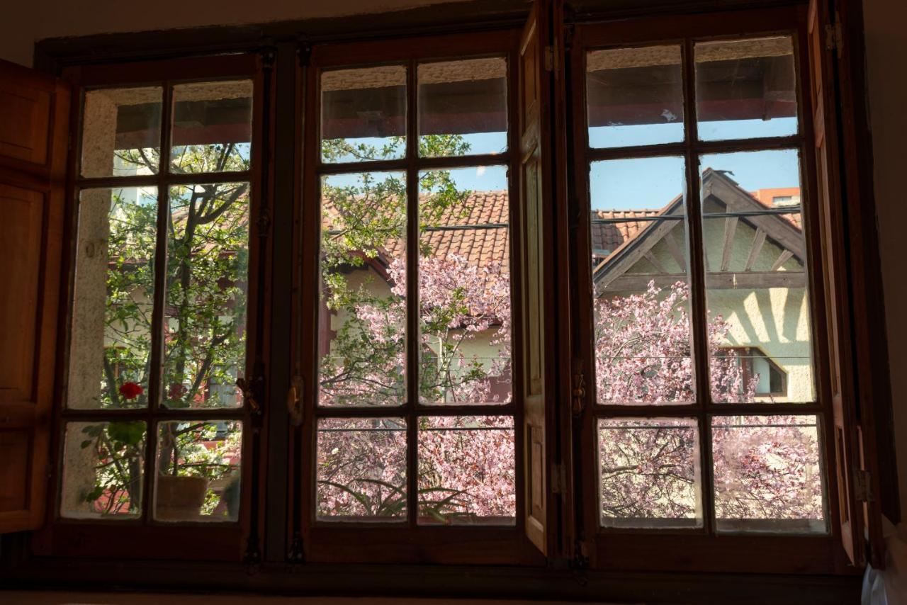 Providencia Bed & Breakfast サンティアゴ エクステリア 写真